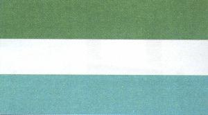 Bandera de La Apartada